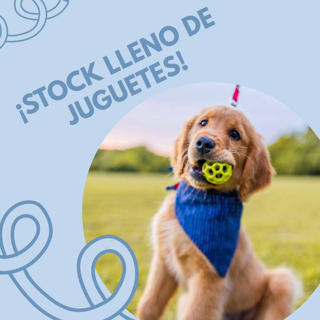 Juguetes 🦴🧸